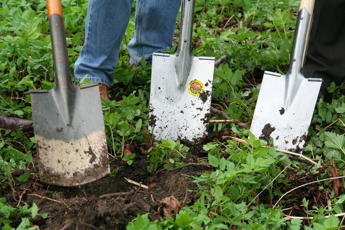Are Home and Gardening Channels Useful?